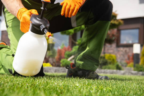 Best Residential Pest Control  in Holliday, TX