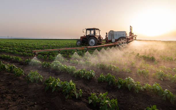 Best Pest Control Treatment  in Holliday, TX