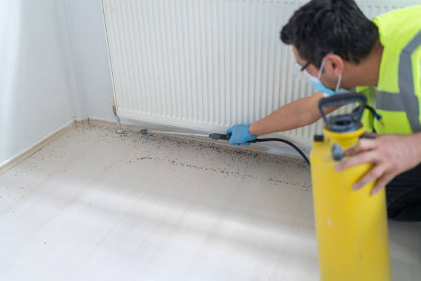 Best Pest Inspection Near Me  in Holliday, TX