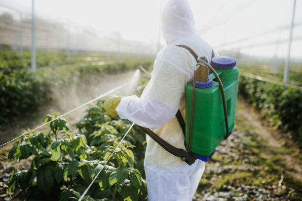 Holliday, TX Pest Control Company